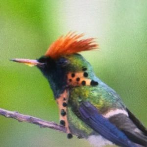 Meet your Posher, Scott